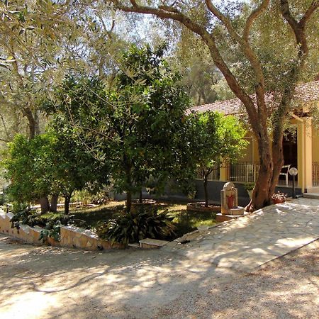 Villa Eleni - Studios Liapades Exterior foto