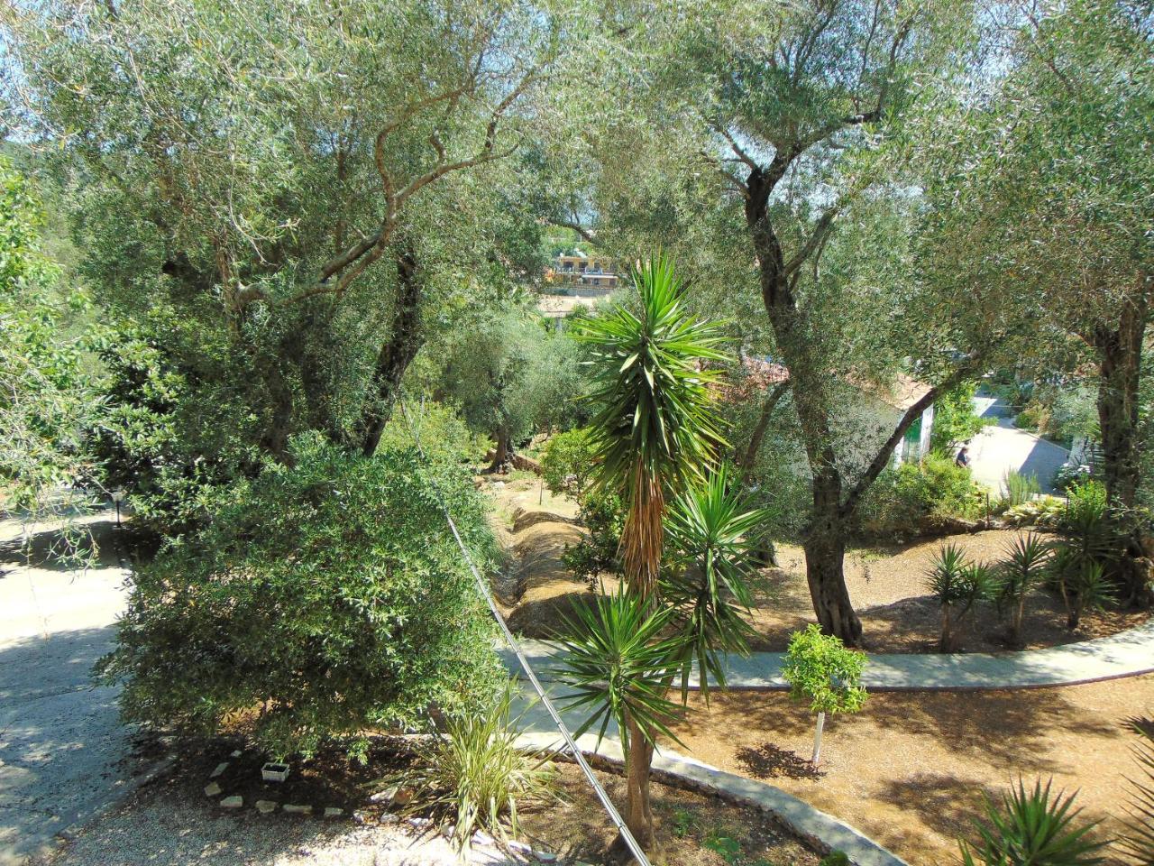 Villa Eleni - Studios Liapades Exterior foto